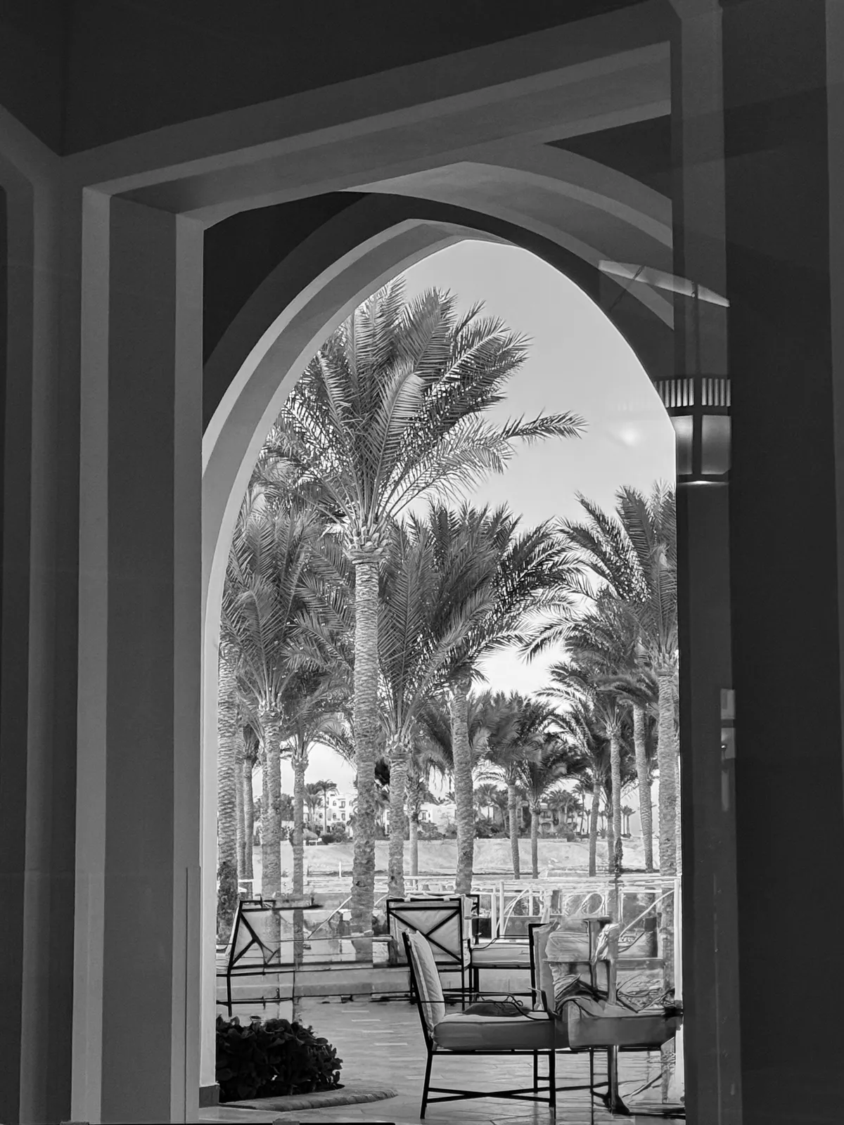 IMG_0869.heic